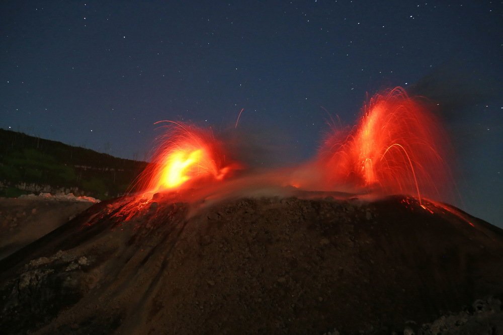 Фотография автора Mark Levitin