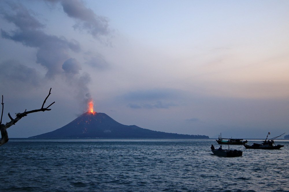 Фотография автора Mark Levitin