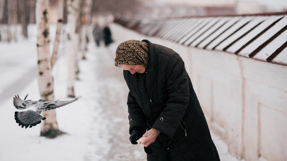 Кирилло-Белозерский монастырь. Бабушка кормит голубей.