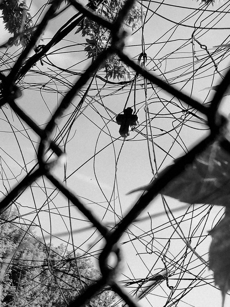 Photograph by Алексей Стариков