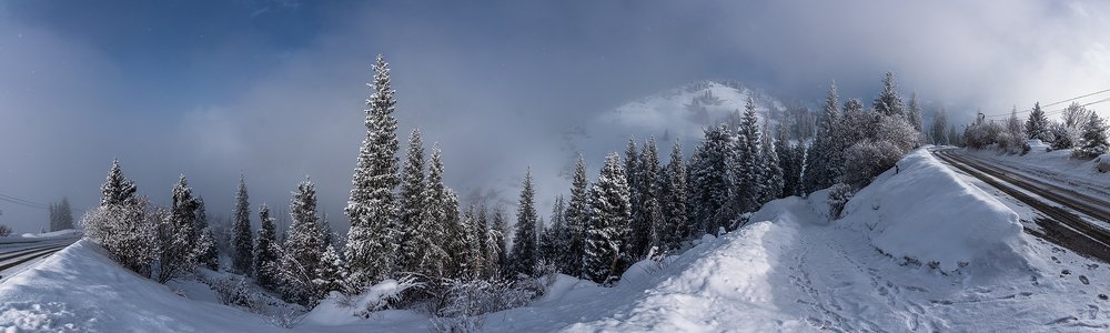 Фотография автора Владимир Пронин