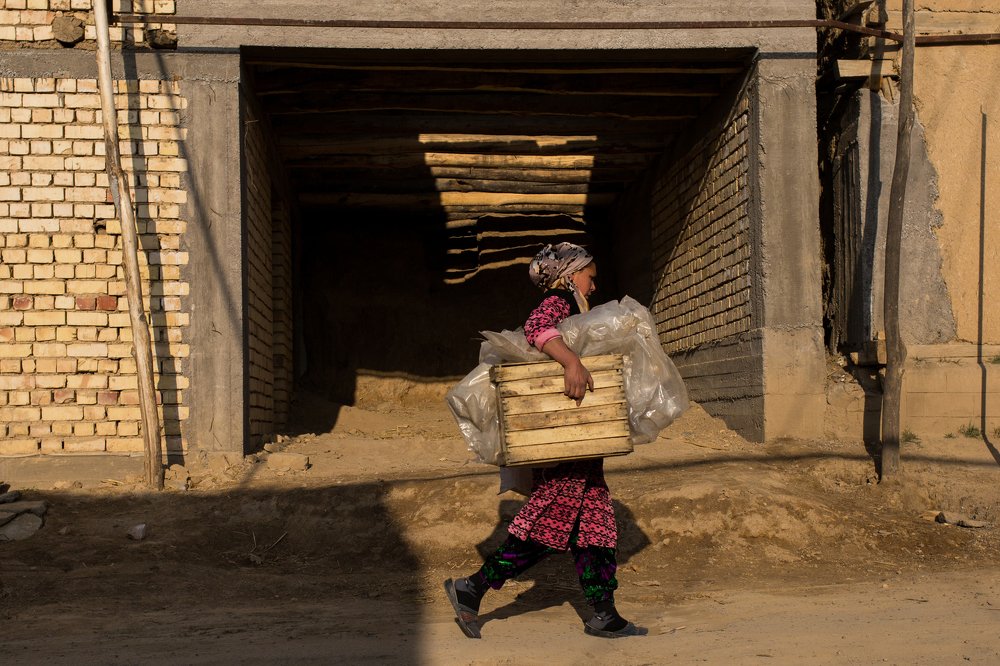 Photograph by Абдумавлон Мадмусаев