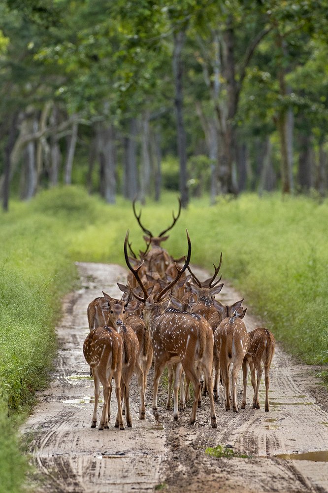 Photograph by Kalyan Chakraborty