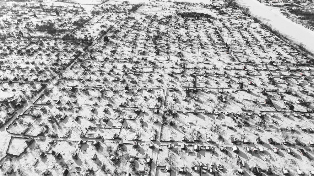 дачный муравейник