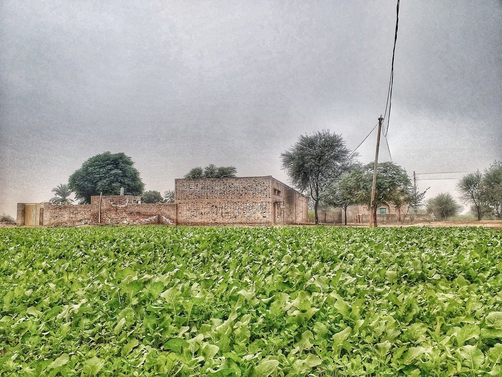 Photo #4071400