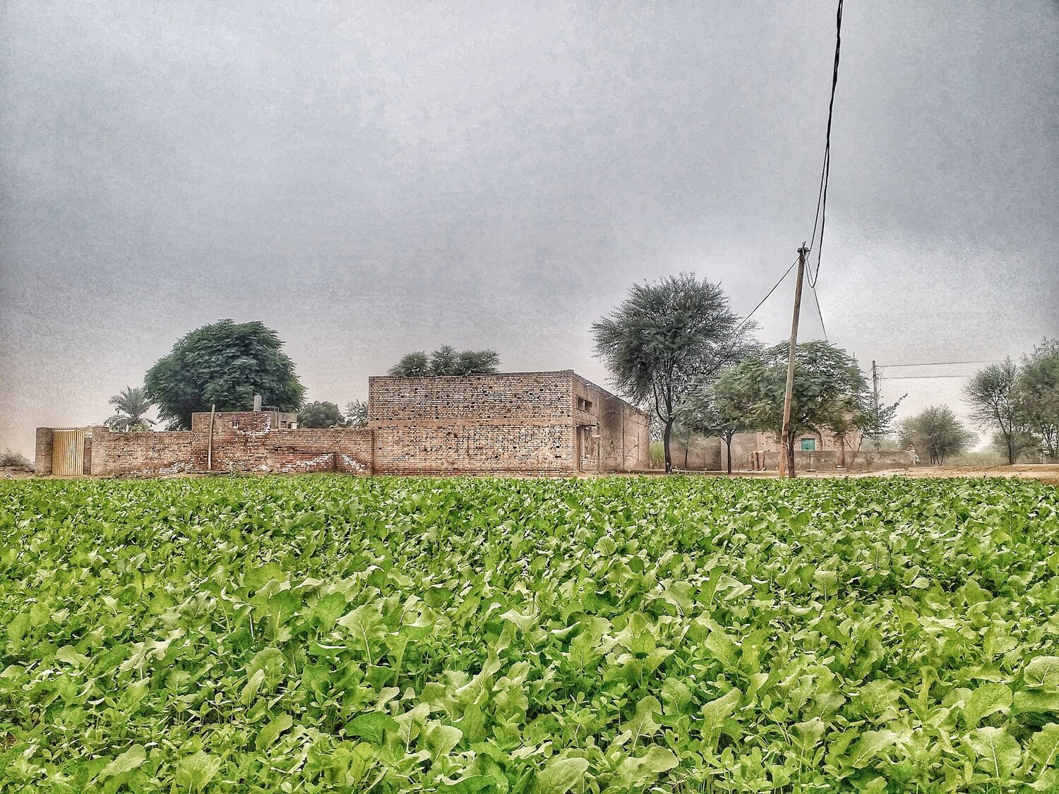 Photo #4071400