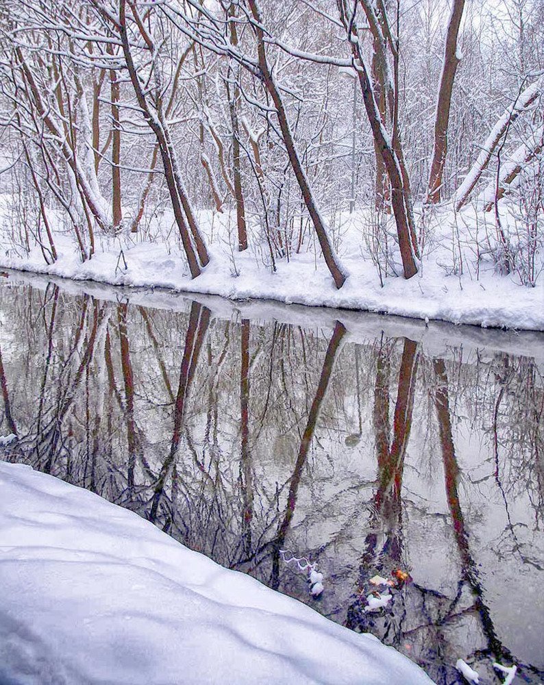 Photograph by Владимир Гречанинов