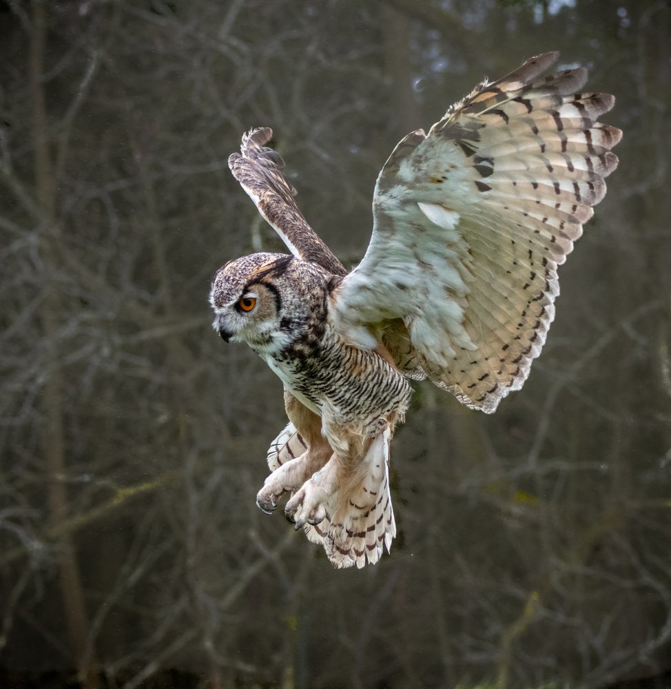 Photograph by Nancy LeVey