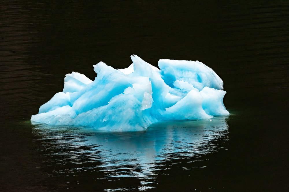 Photograph by Nancy LeVey