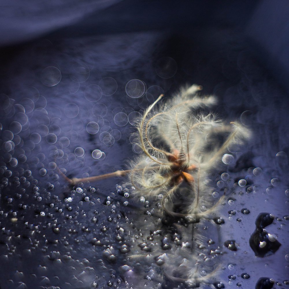 Photograph by Ирина Голомако