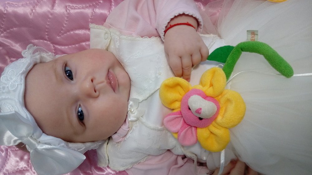 Photo #4071572