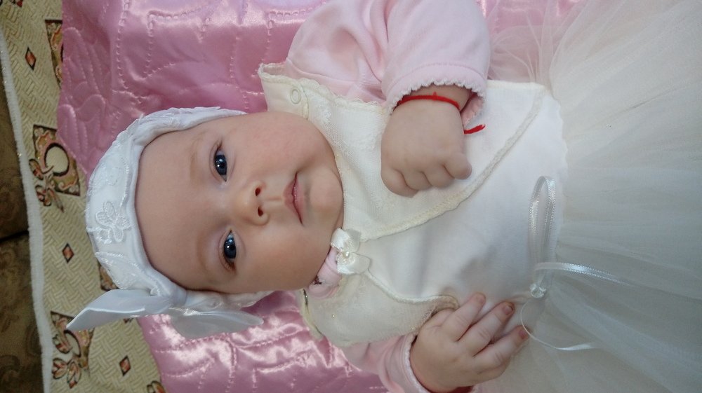 Photo #4071573