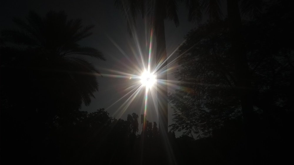 Photo #4071598