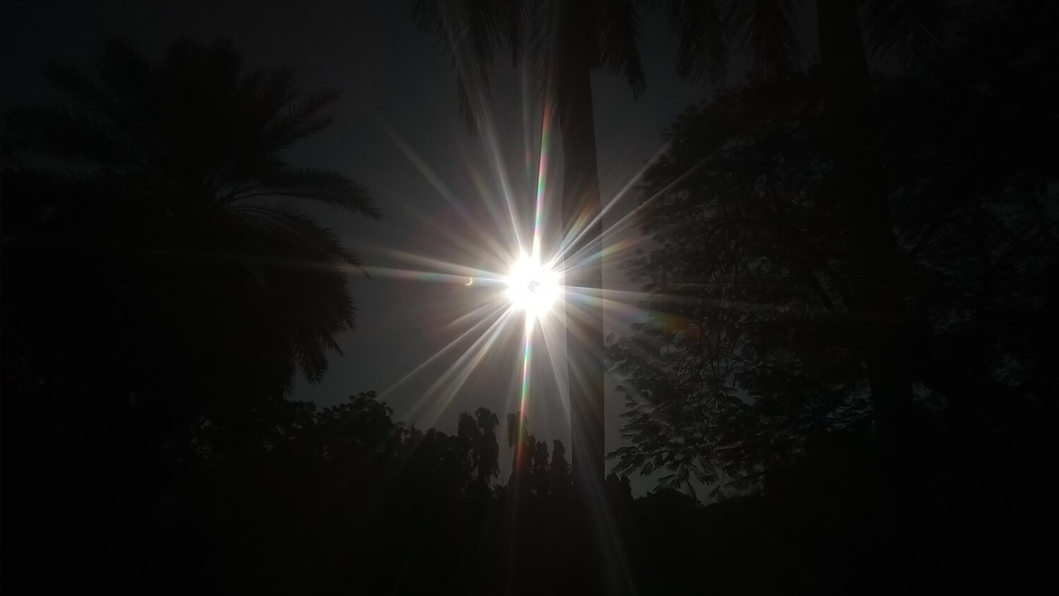 Photo #4071598