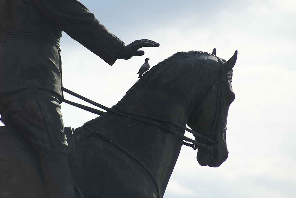 Photograph by Игорь Пшеничников