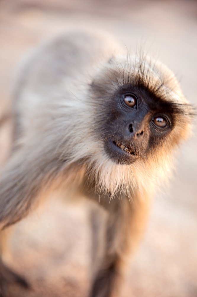 Photograph by Светлана Юдина