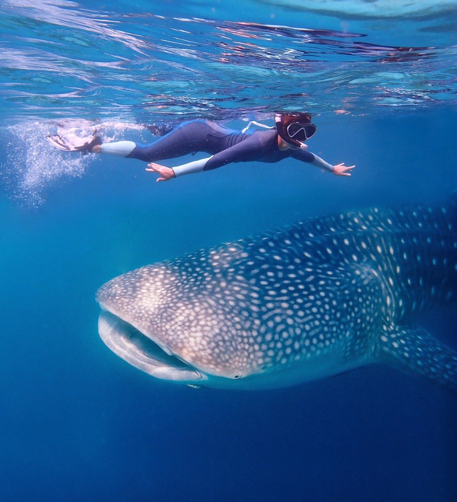 Photograph by Светлана Юдина