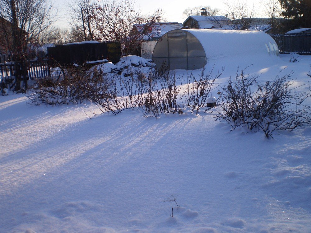 Зимнее утро.