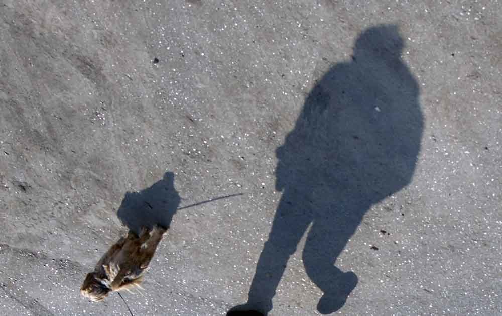 Photograph by Игорь Пшеничников