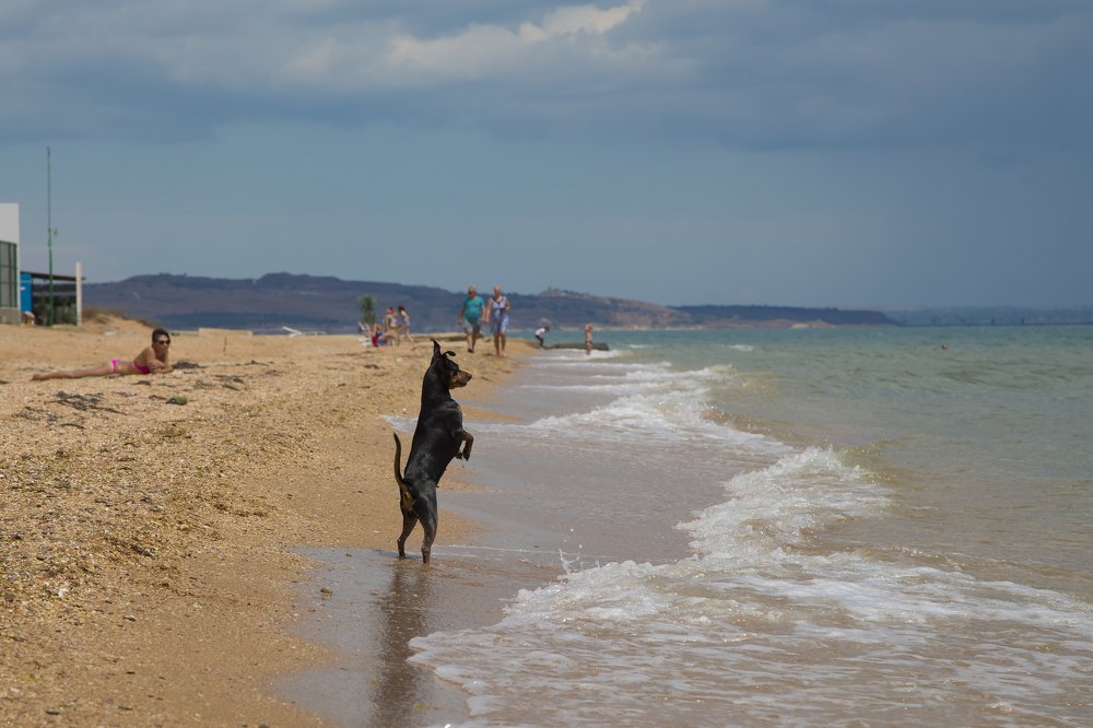 Photograph by Андрей Ларин