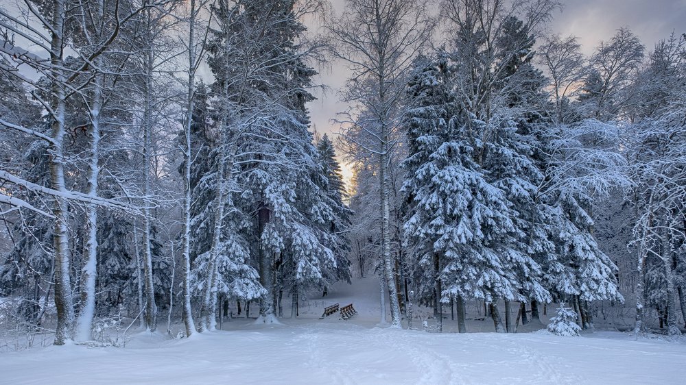 Photograph by Светлана Краюшкина