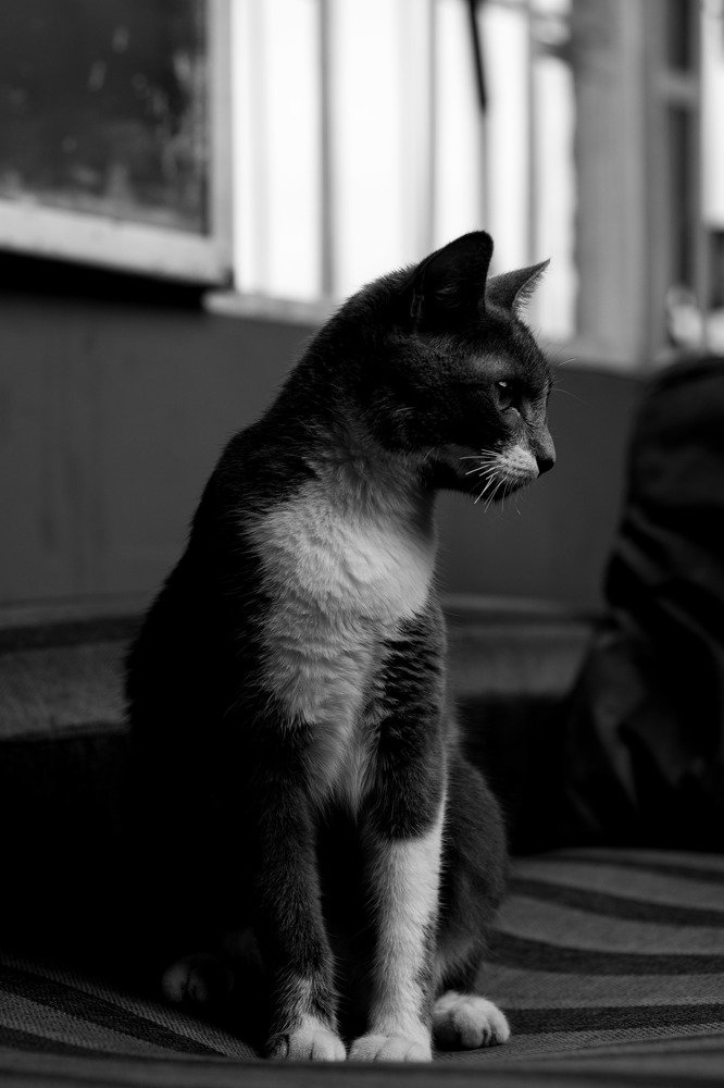 Photograph by Kalama Djanny