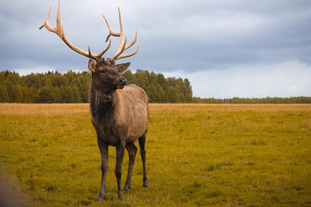Photograph by Лазарева Анна Игоревна