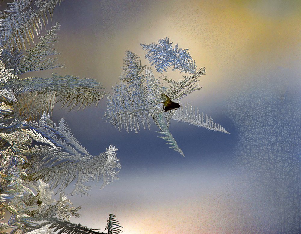 Оглянуться не успела...