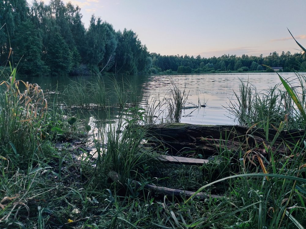 On the lake