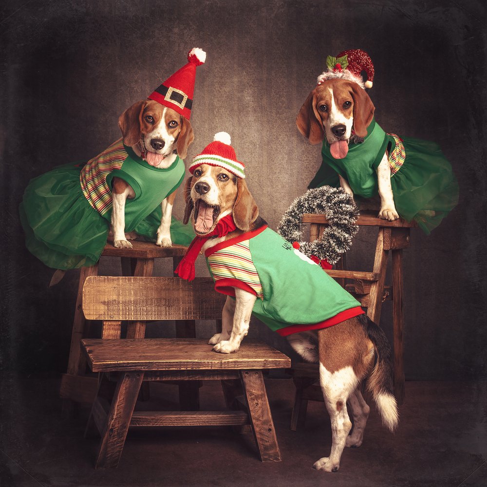 Photograph by Paola Massa