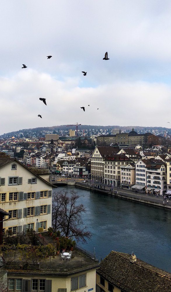 Утро в Цюрихе