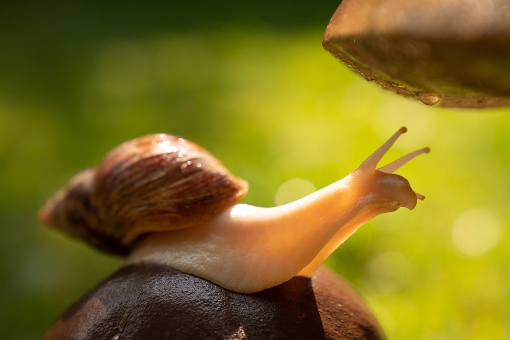 Photograph by Виктория Кузнецова