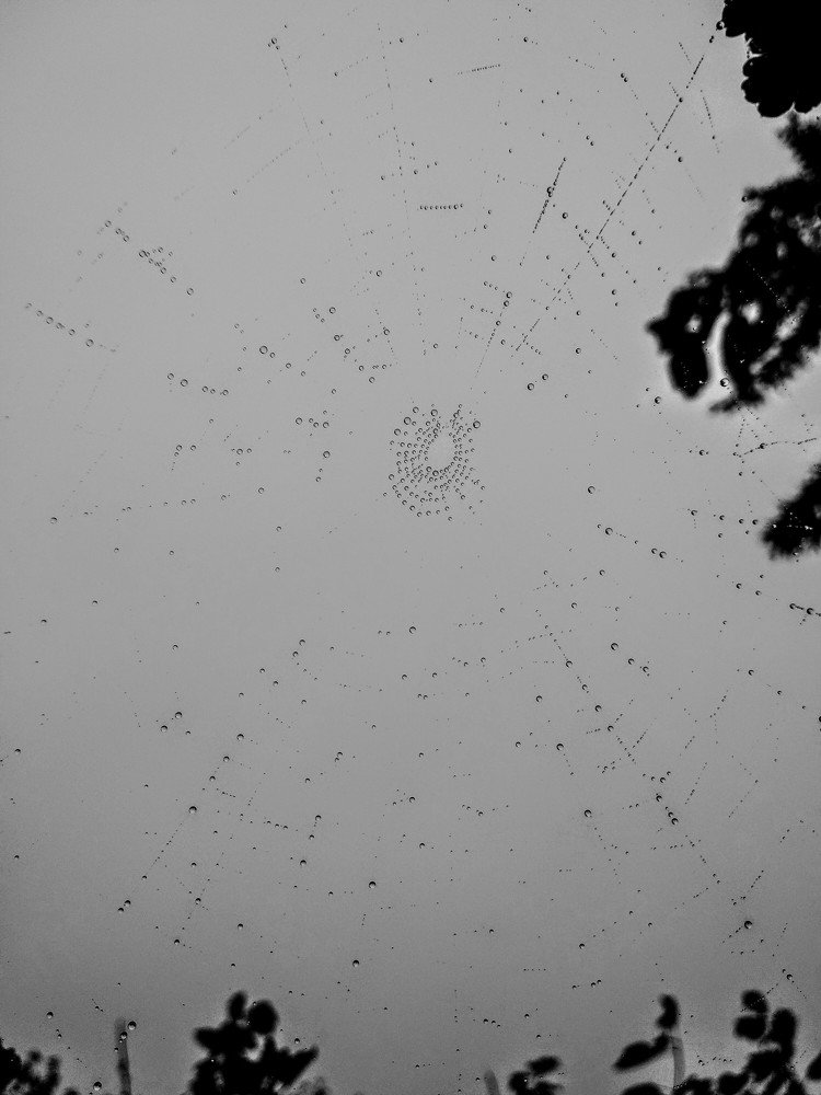 Photograph by Марина Мишина