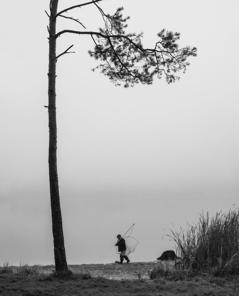 Photograph by Aeromast