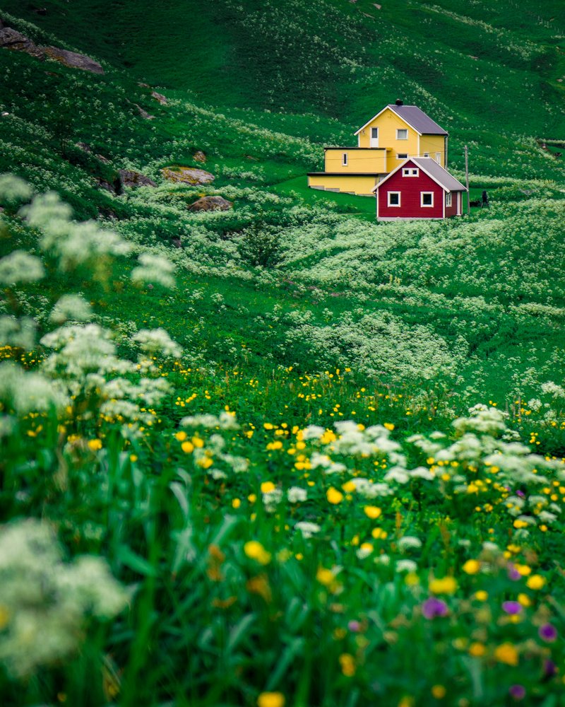 Photograph by Tatsiana Volskaya