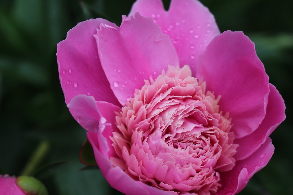 Photograph by Марина Тимакова