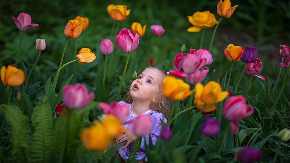 Photograph by Александр Шульга