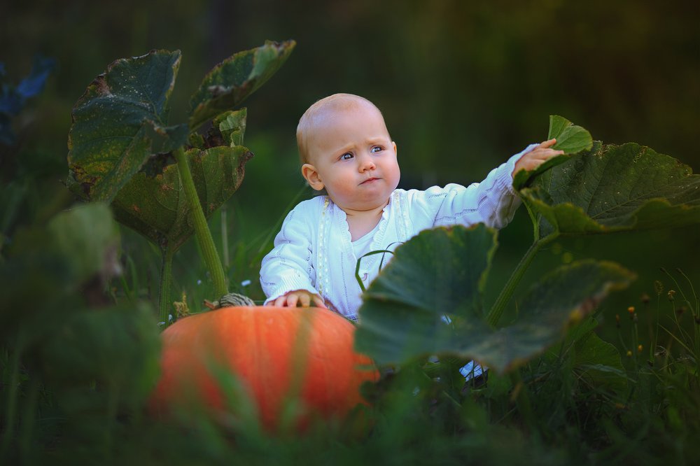 Photograph by Александр Шульга