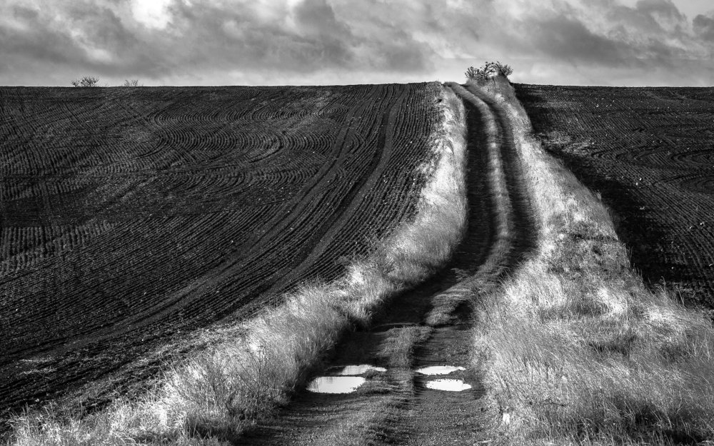 Photograph by Кобец Дмитрий