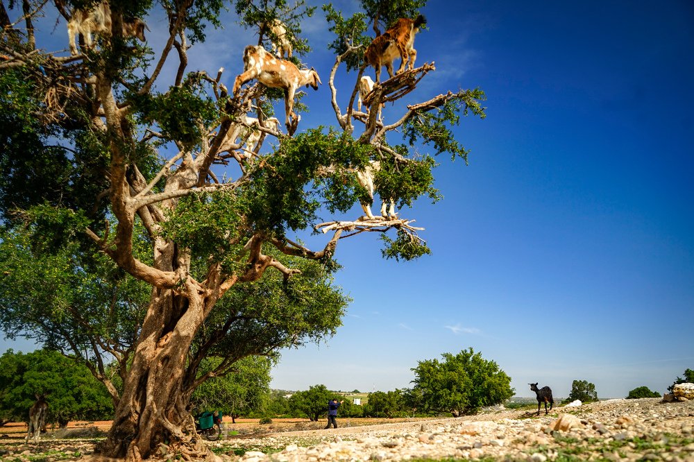 Photograph by Tatsiana Volskaya