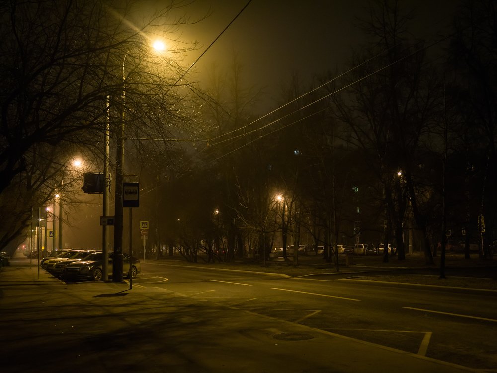 Photograph by Михаил Шохин