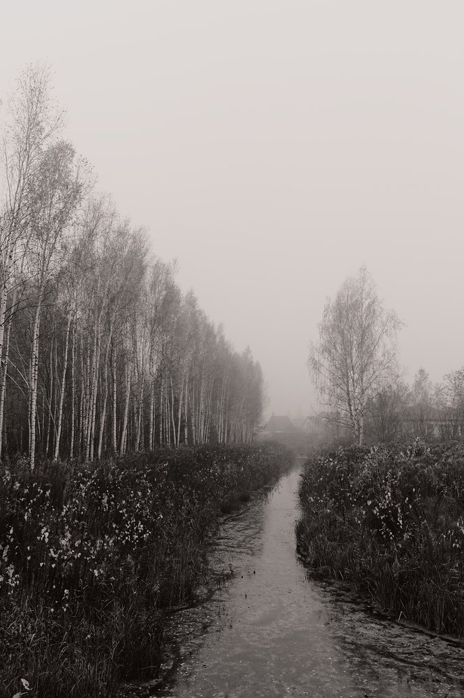 Photograph by Евгений Козлов