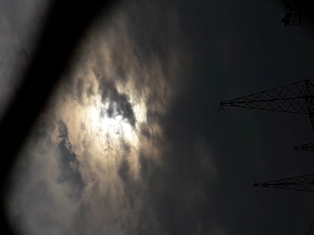 Photo #4072317