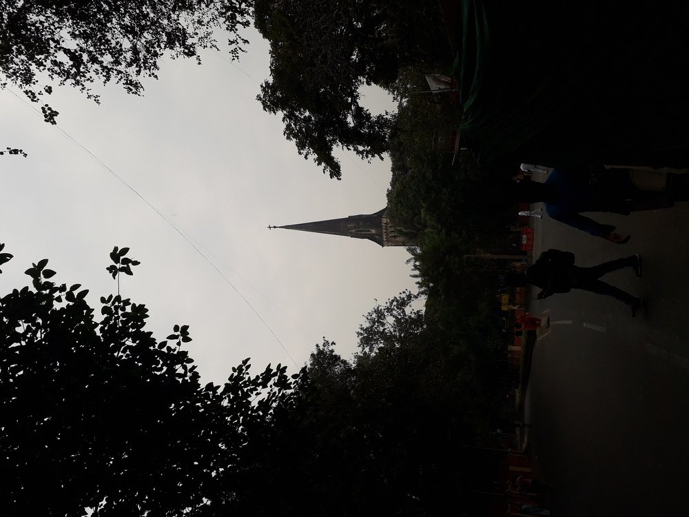 Photo #4072333