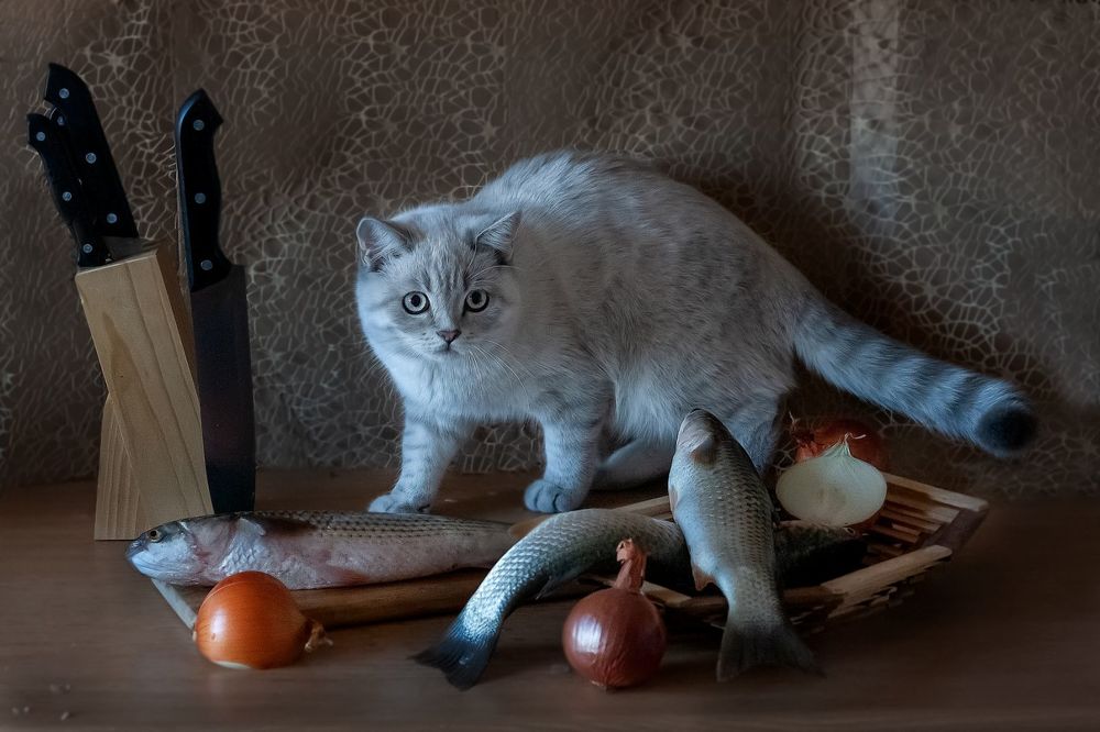 Photograph by Александра Калиниченко