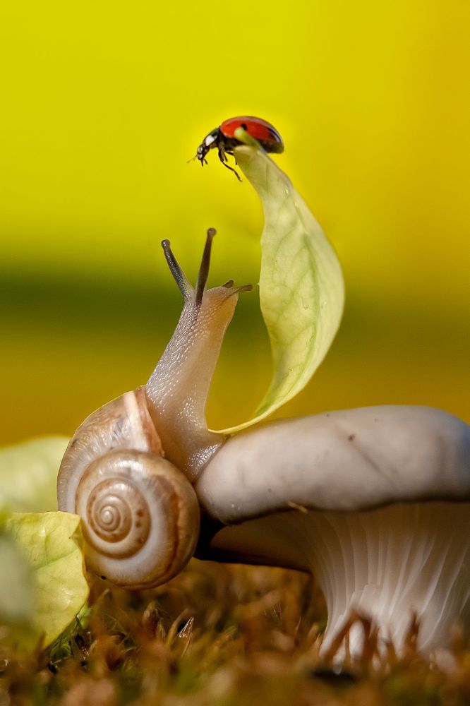 Photograph by Александра Калиниченко