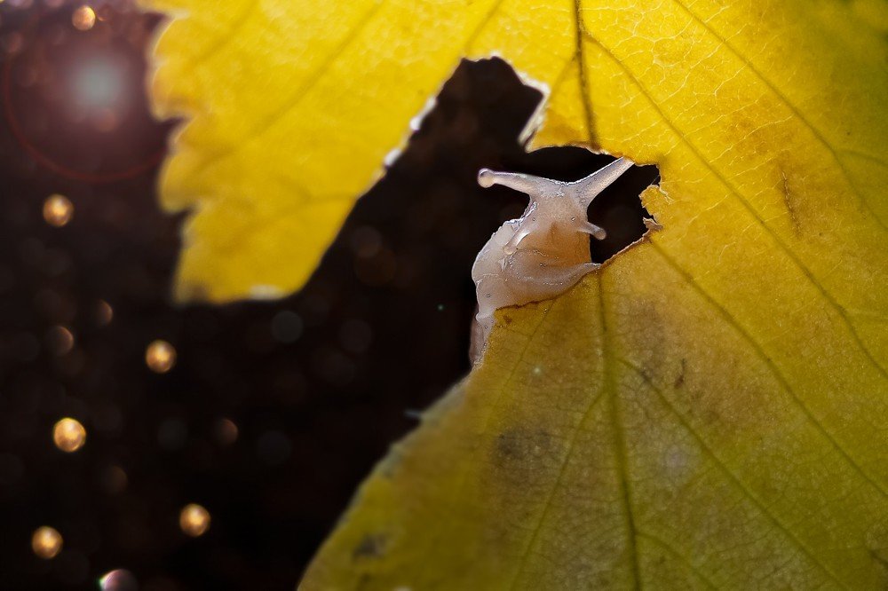 Photograph by Александра Калиниченко