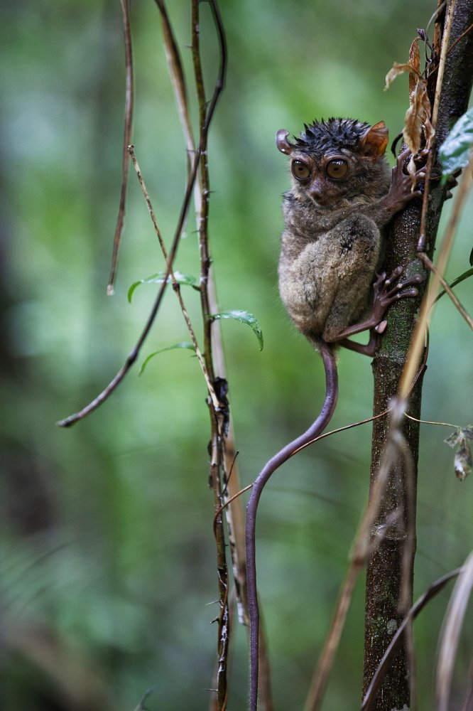 Photograph by Алина Андреева