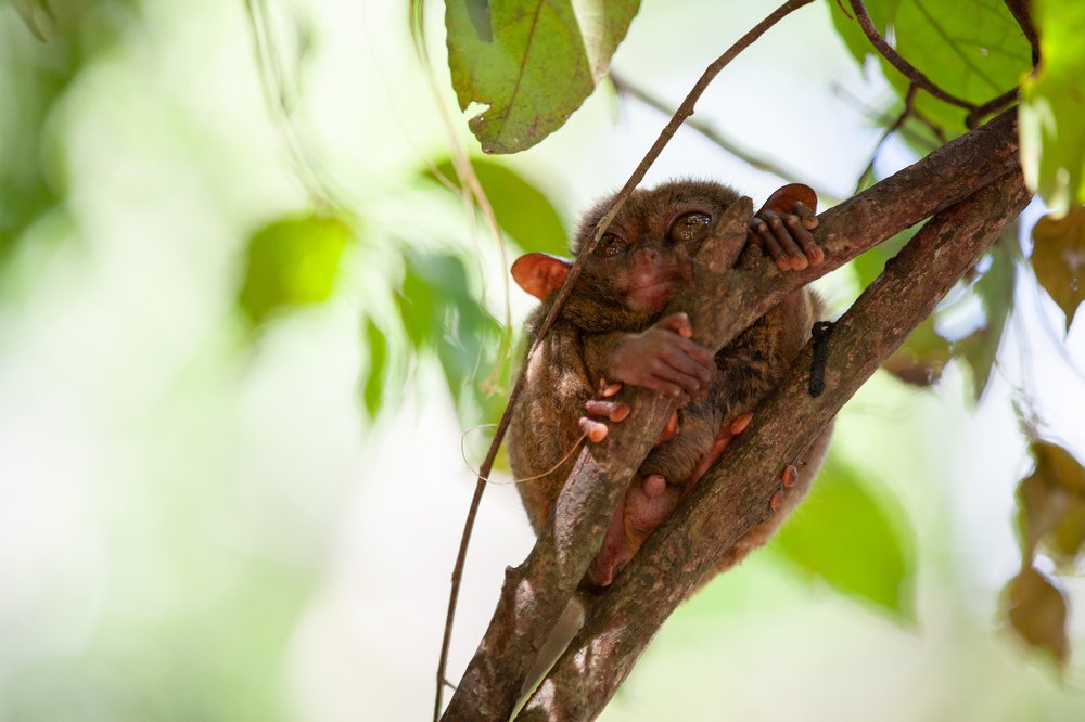 Photograph by Алина Андреева