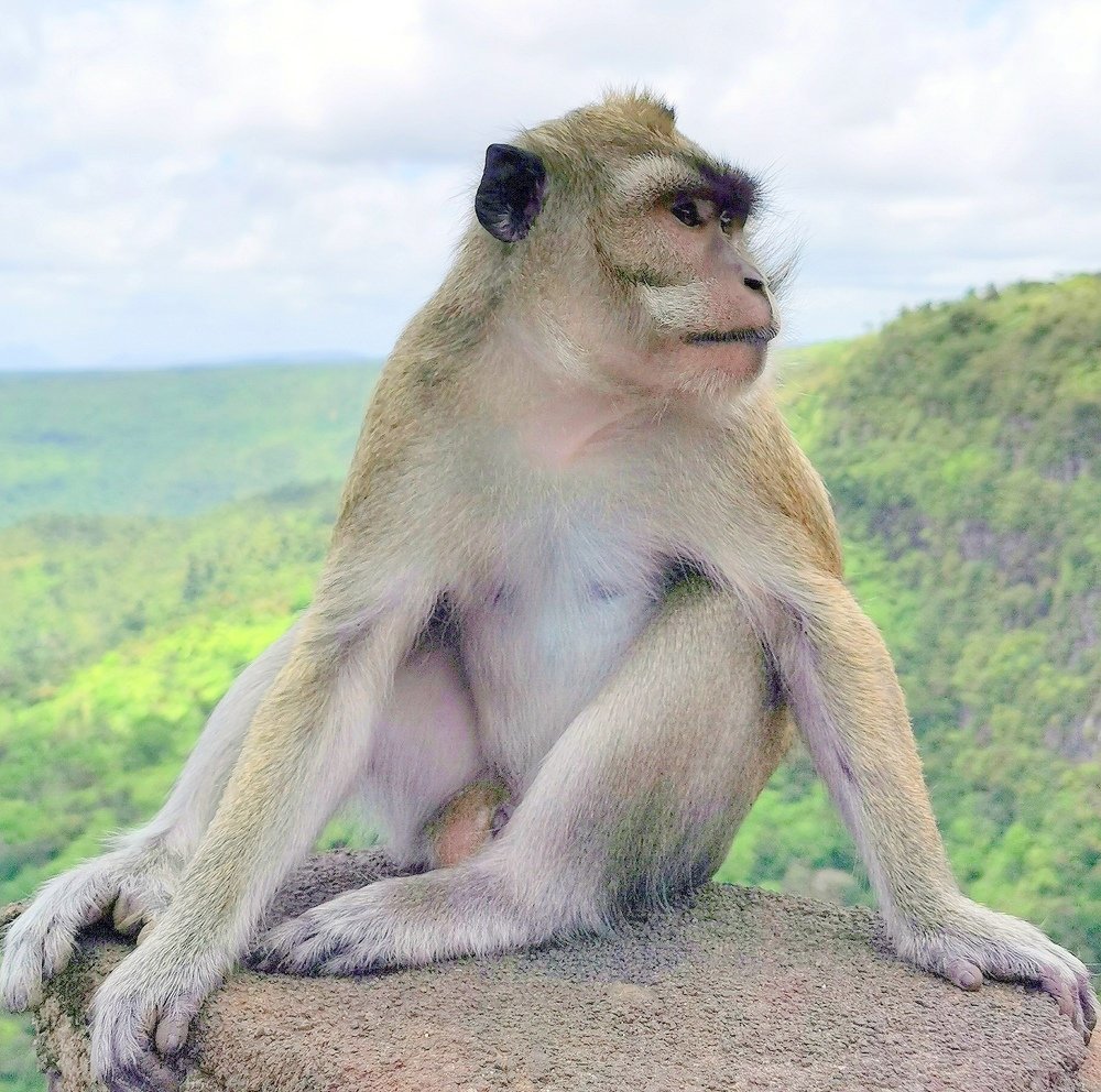 Photograph by Alexander Matschin